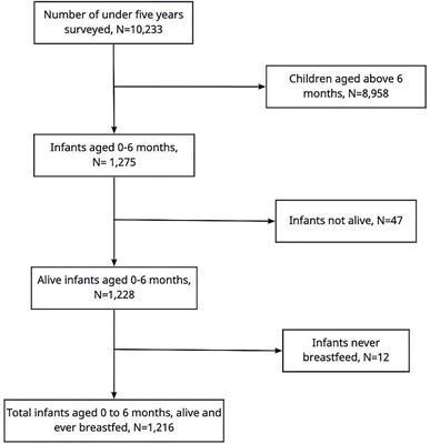 Role of clusters in exclusive breastfeeding practices in Tanzania: A secondary analysis study using demographic and health survey data (2015/2016)